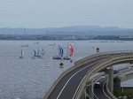 P7110531.jpg